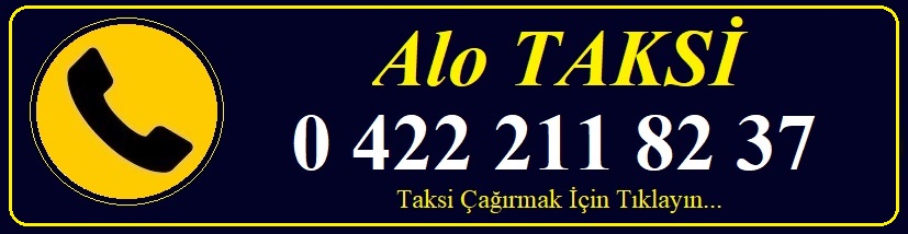 Bu görselin boş bir alt özelliği var; dosya ismi: virajalotaksi.jpg